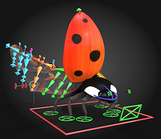 Ladybug rig