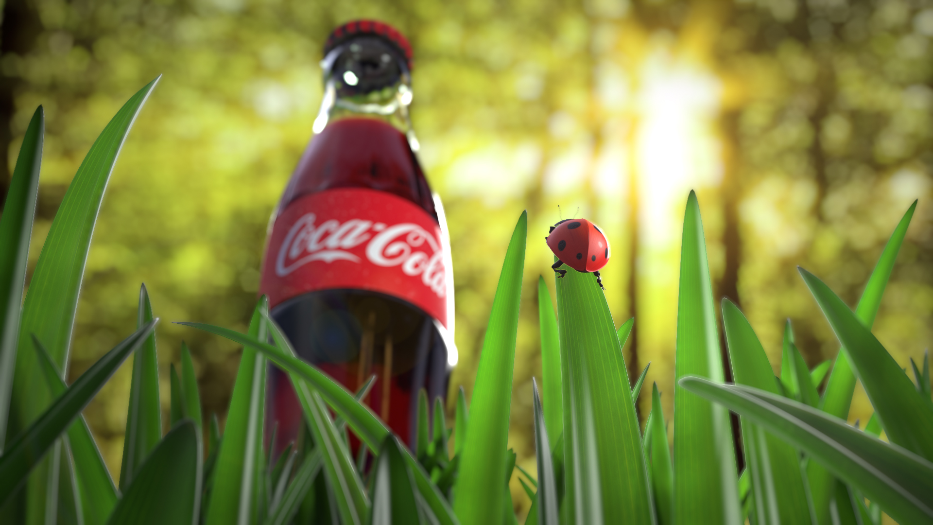 Ladybug on grass straw, looking at Coke Bottle